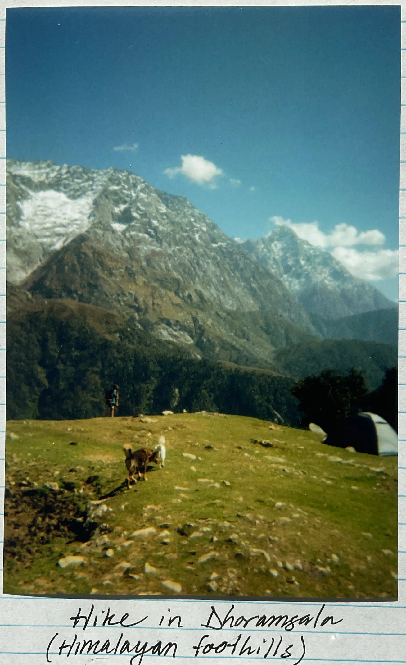 Triund Hill Hike, Dharamsala